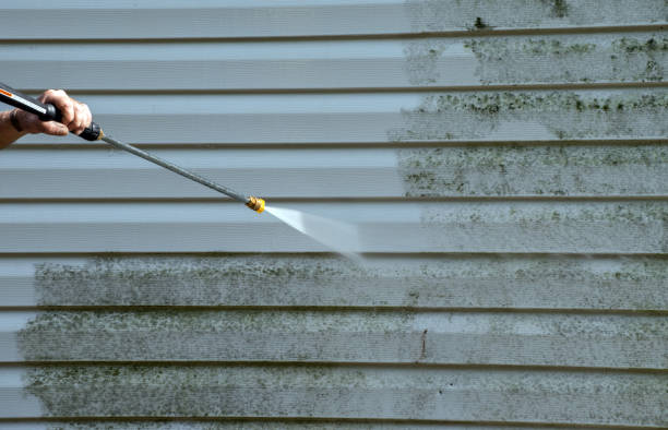 Best Deck Cleaning Services  in Portage, WI